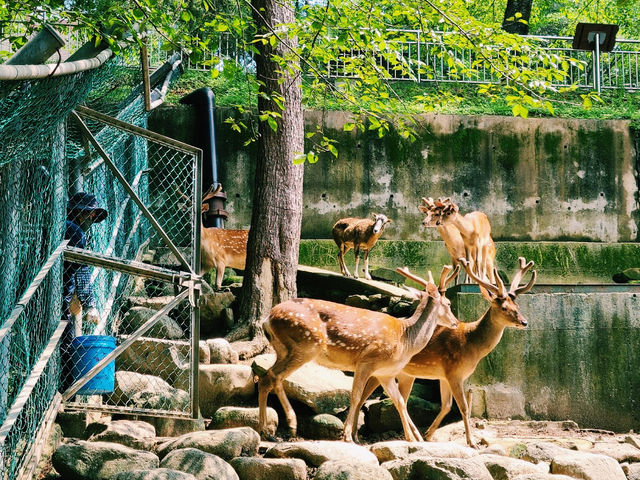 Jinyangho Zoo