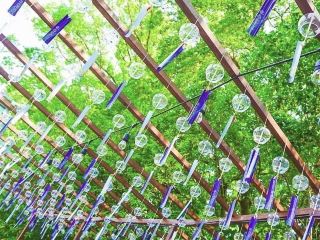 【大阪】感受夏日氣息的700個風鈴神社