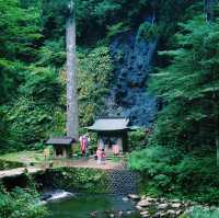 【出羽三山】羽黒山を巡りよみがえりを祈るリトリートの旅へ⛰