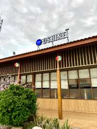 Oshinei 