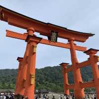 もみじと牡蠣と鹿と。宮島・厳島神社