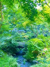 〜神奈川県〜初夏を感じる都会の癒しスポット