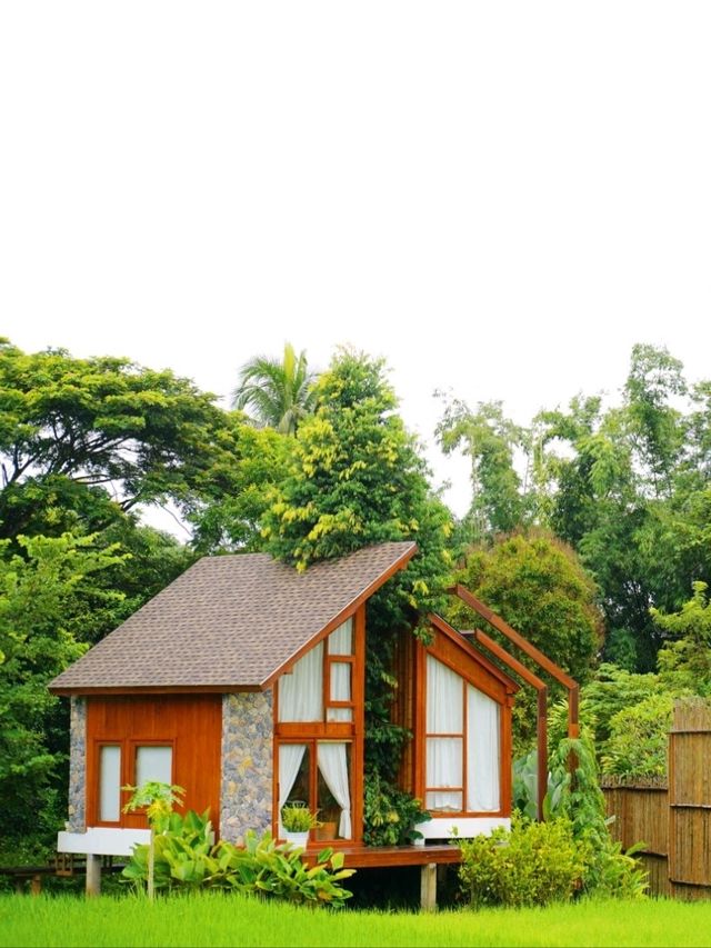Rainy Day - บ้านนาก๋างโต้ง คาเฟ่กลางทุ่งนา