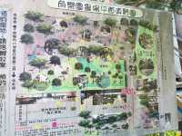八德角樂園-綠蔭新天地