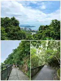 🇭🇰 Harlech Road and Lugard Road Circular Walk, The Peak