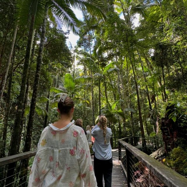 Explore the Wonders of Fraser Island 🇦🇺🌴
