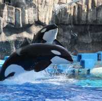 名古屋港水族館