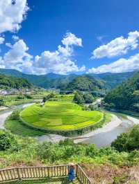 【和歌山】の絶景スポット！あらぎ島で日本の夏を満喫🌿