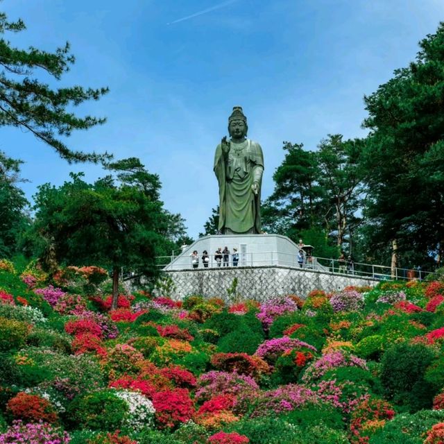 花之寺廟+杜鵑奇景
