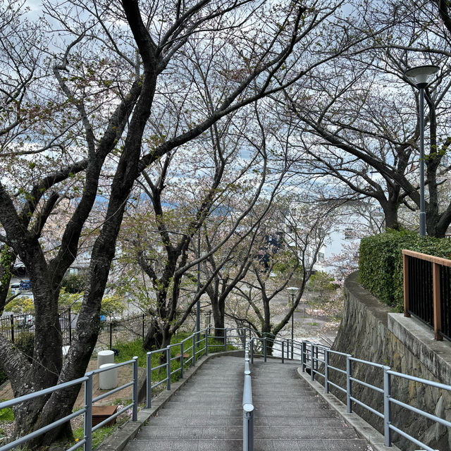 四國遍路+瀨戶內海單車遊