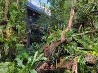 Muguet de Café & Art space