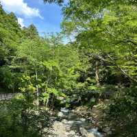 考索國家公園：原始自然生態～世外桃源