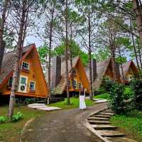 ที่พักบนดขาค้อ ที่อยู่ท่ามกลางป่าสน