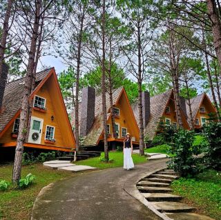 ที่พักบนดขาค้อ ที่อยู่ท่ามกลางป่าสน