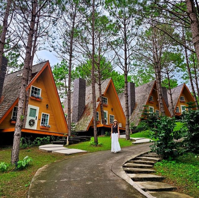 ที่พักบนดขาค้อ ที่อยู่ท่ามกลางป่าสน