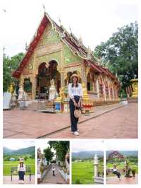 ปัวน่าฝน มันดียังไง