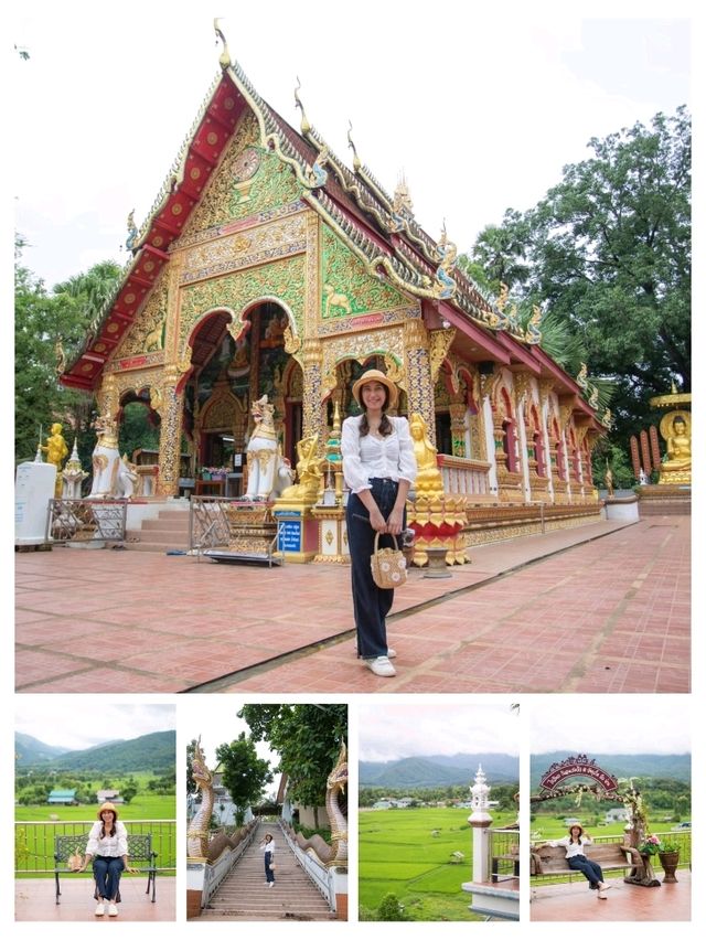 ปัวน่าฝน มันดียังไง