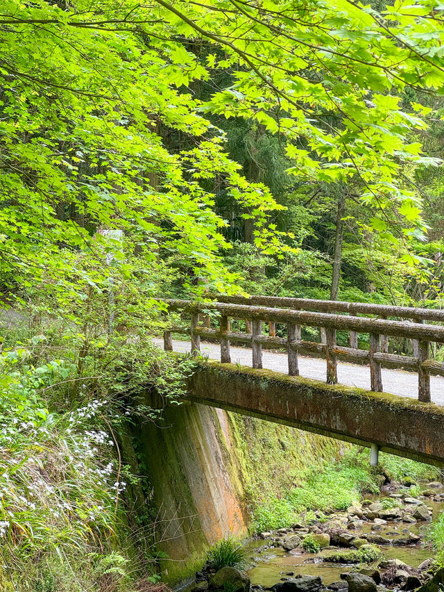 【島根】世界遺産❣️石見銀山を満喫する1日🤭🧡