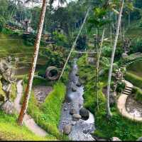 Discovering Bali: A Journey of a Lifetime