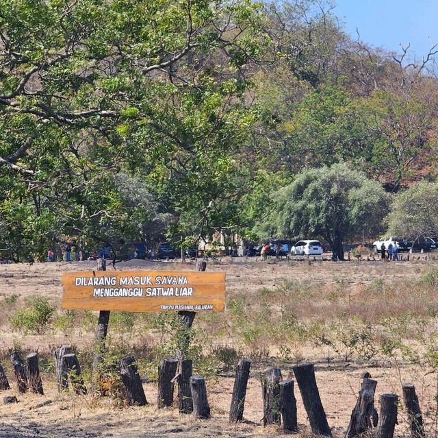 Baluran National ParkTaman Nasional Baluran