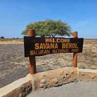 Baluran National ParkTaman Nasional Baluran