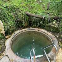 Peninsula hot spring review 