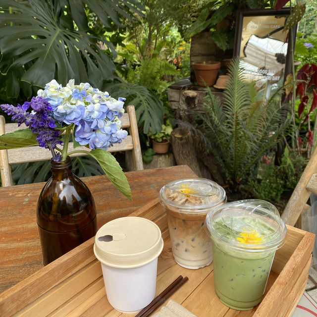 เชียงใหม่กับtrip.com 