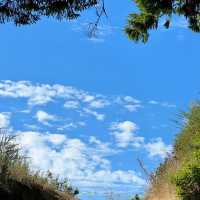 「Culicagh Mountain Park：壯麗山谷，難忘旅程！」