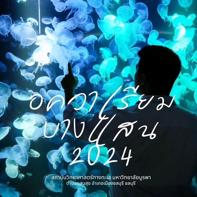 ทัวร์โลกใต้น้ำกับอควาเรียมบางแสนกันครับ 🪼🐠🦈