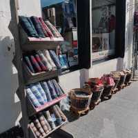 Edinburgh Enchantment: Castles, Closes, and City Views