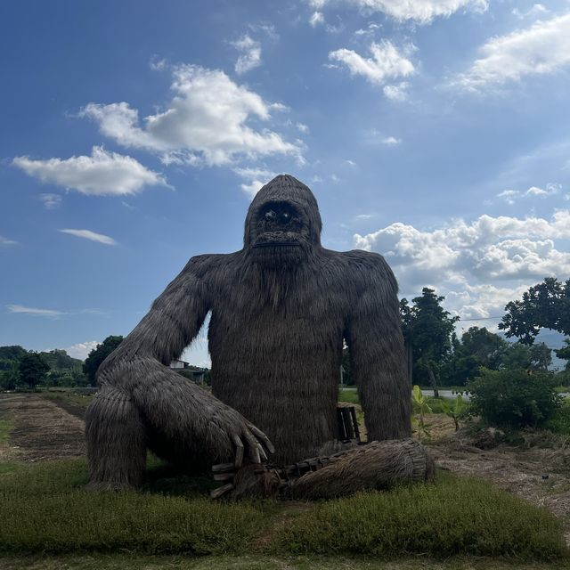 動物迷蹤稻翼之歌