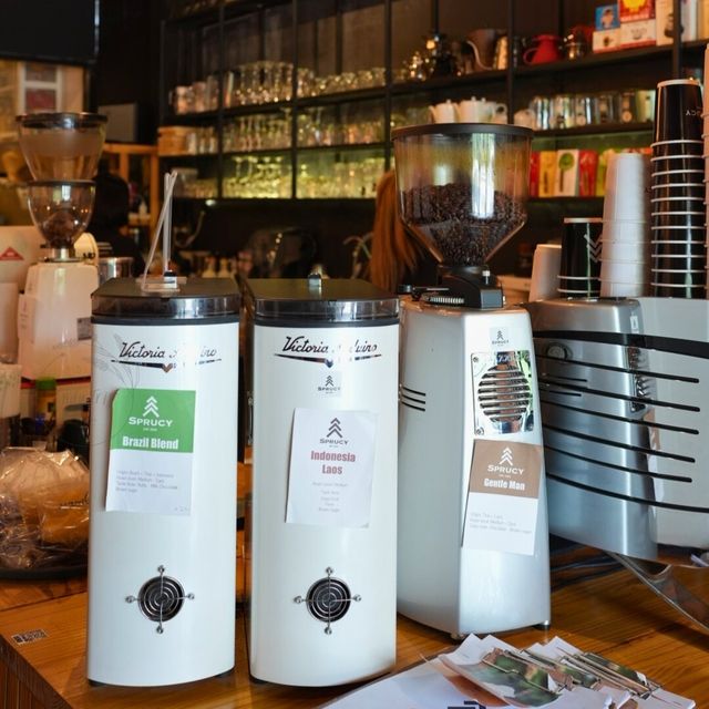 🧉 SPRUCY CAFE