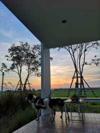 ที่พักลับ กลางทุ่งนา Escape Cottage