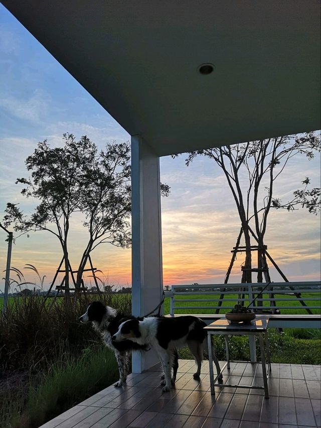 ที่พักลับ กลางทุ่งนา Escape Cottage