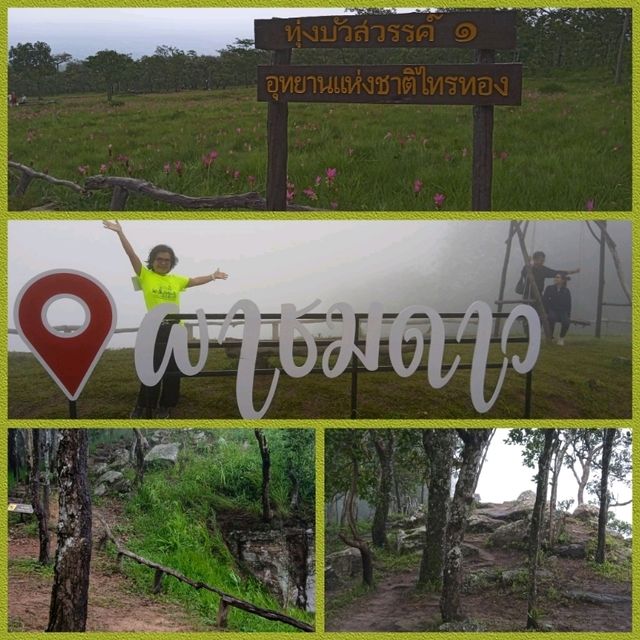 ทริปวันเดียวเที่ยว2อุทยาน ณ จ.ชัยภูมิ