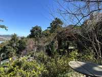 A Fairy Garden: Natureside Cafe Da Lat