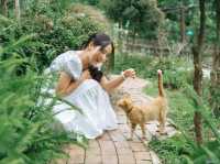 Mori Natural Farm โมริ เนเชอรัลฟาร์ม เชียงใหม่ 