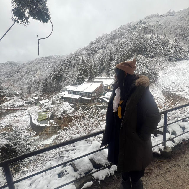 Jigokudani (Snow) Monkey Park ดูน้องลิงแช่ออนเซ็น🐵