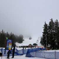 【Cypress Mountain】🇨🇦〜バンクーバーの冬の楽園、スキーと絶景のアドベンチャー〜