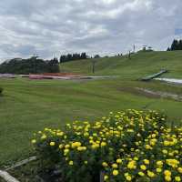 箱館山一日遊