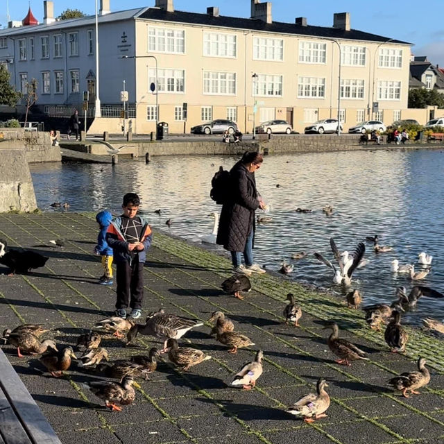 Explore the Charm of Reykjavik