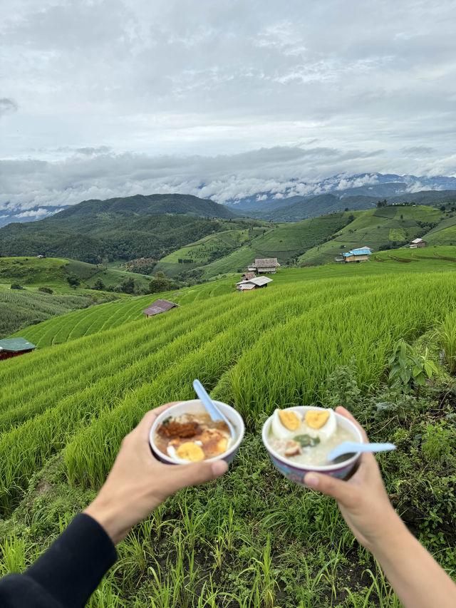 ที่พักป่าบงเปียง | จ.เชียงใหม่ 🏡⛰️🌾🌧️