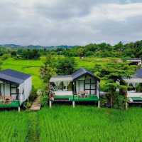 Viewna Little Home 