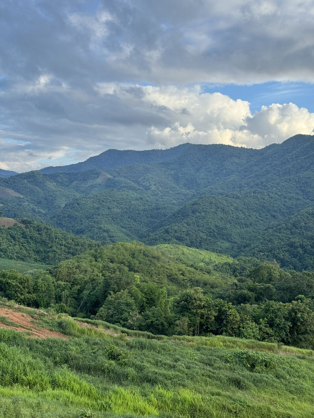 ภูเขาเทเลทับบี้ | จ.แพร่ ⛰️🌧️🌿🌳