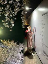 A Romantic Spring Escape: The Perfect Couple's Travel Experience in Gyeongju