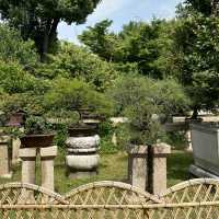 Suzhou: A Journey Through Canals and Classical Gardens