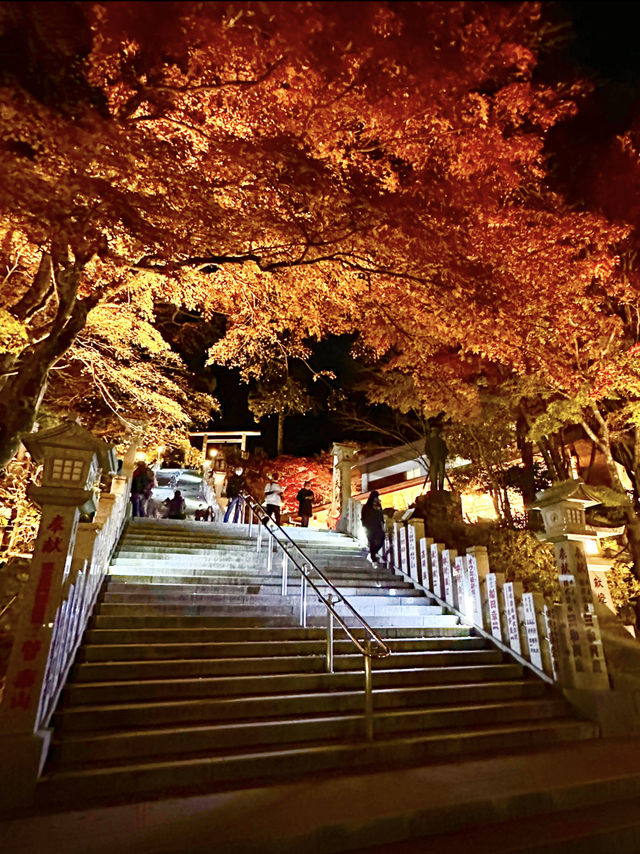 〜神奈川県〜夜景と紅葉が同時に見られる秋おすすめナイトスポット！