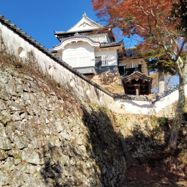 Historical Beauty