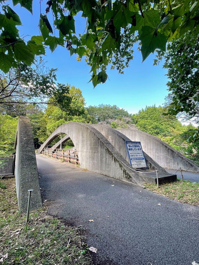 【東京都】昭和記念公園で気軽にサイクリング
