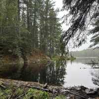 Algonquin park in Ontario, Canada